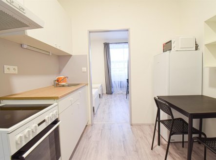 Pronájem bytu, 1+1, 24 m²