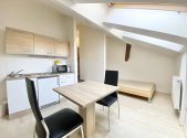 Pronájem bytu, 1+kk, 18 m²