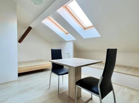 Pronájem bytu, 1+kk, 18 m²