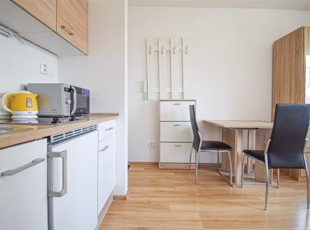 Pronájem bytu, garsoniéra, 17 m²