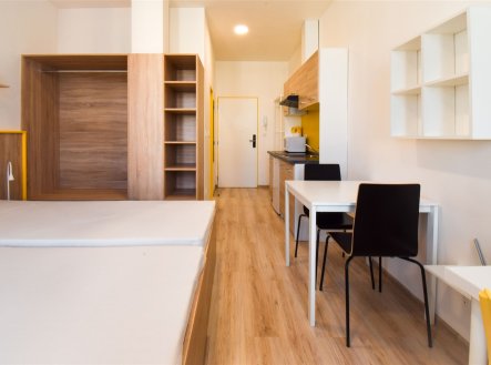 Pronájem bytu, garsoniéra, 23 m²