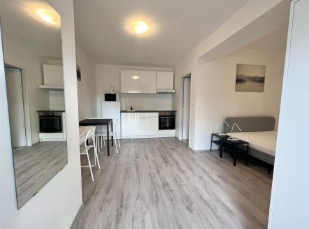 Pronájem bytu, garsoniéra, 25 m²