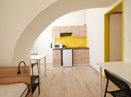 Pronájem bytu, garsoniéra, 19 m²