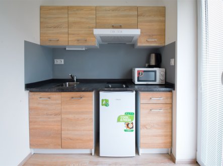 Pronájem bytu, garsoniéra, 19 m²