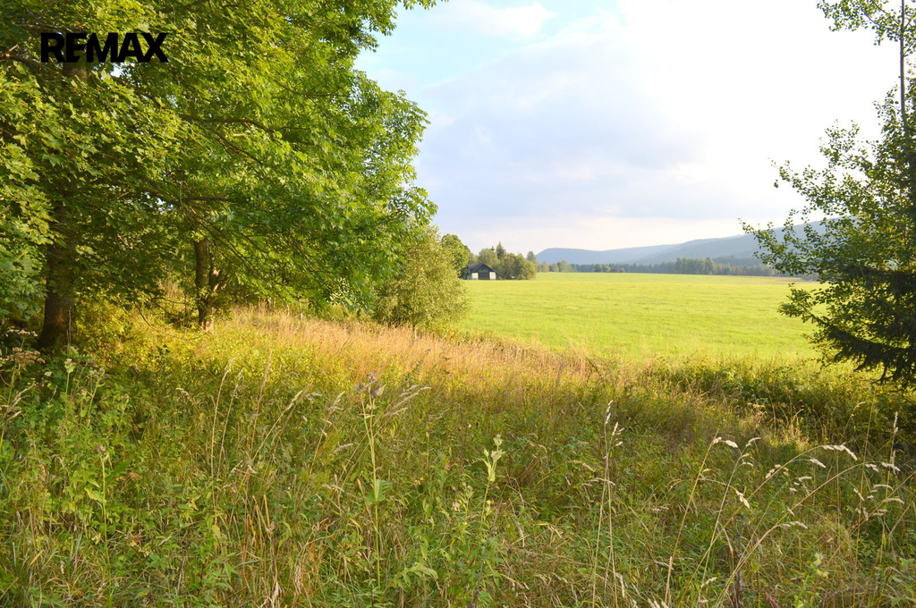 dsc-0109-001.jpg
