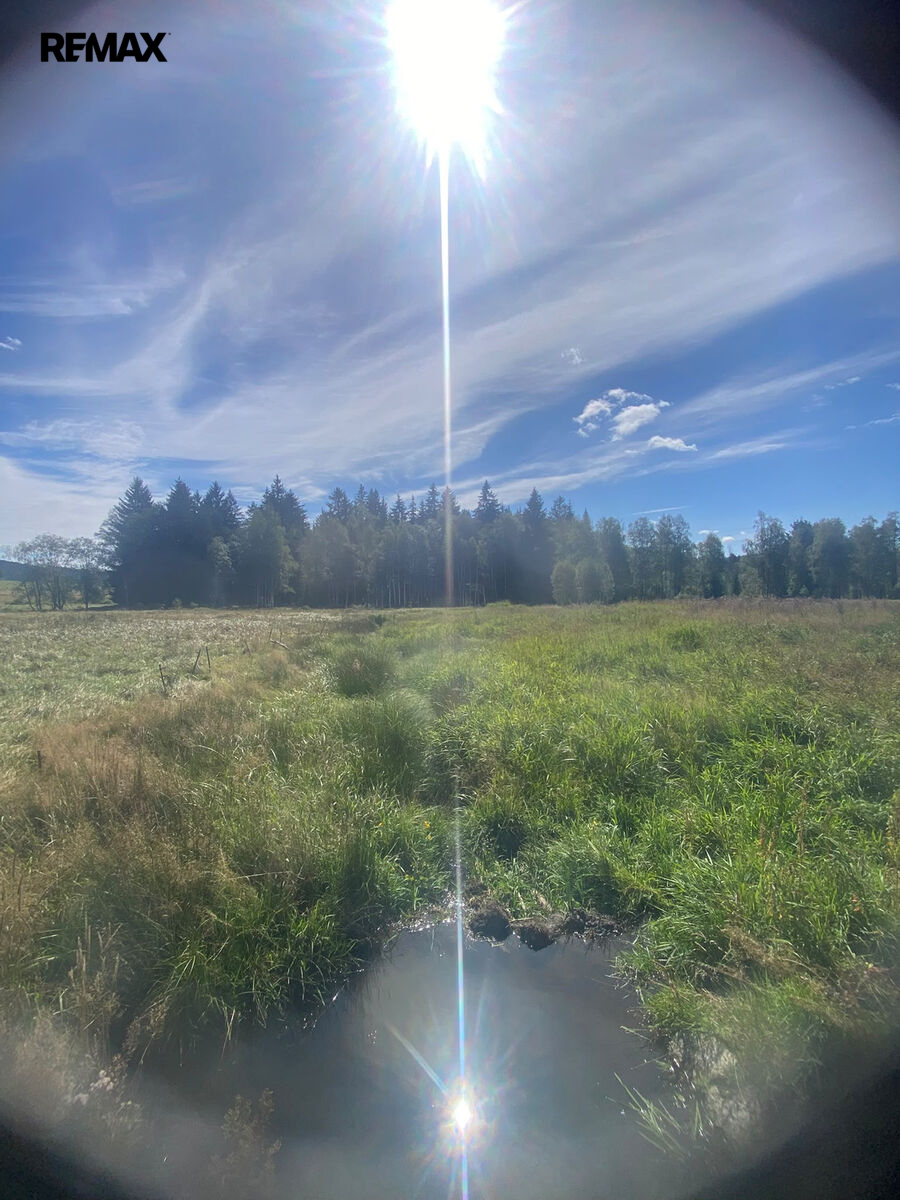 d32be647-1455-4bb3-bc61-54a292f005e0.jpeg