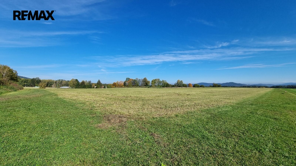 20241017-125448.jpg