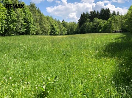 Prodej pozemku, trvalý travní porost, 14 292 m²