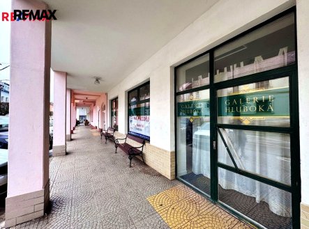 Prodej obchodní prostory, 219 m²