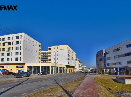 Pronájem bytu, 1+kk, 50 m²