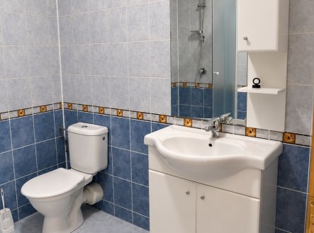 Pronájem bytu, 1+kk, 21 m²