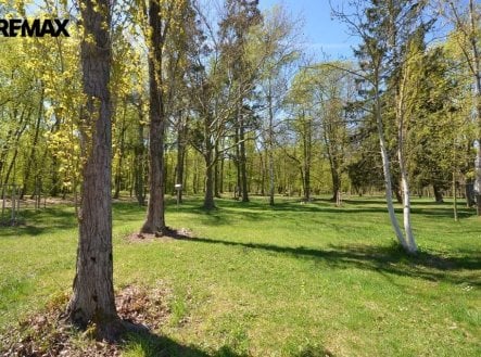 Pronájem pozemku, zahrada, 800 m²