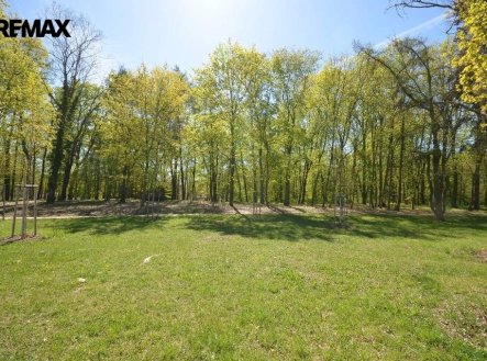 Pronájem pozemku, zahrada, 800 m²