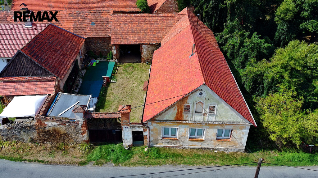 101.jpg