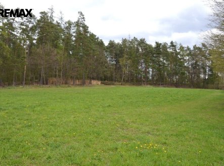 Pronájem pozemku, zahrada, 941 m²