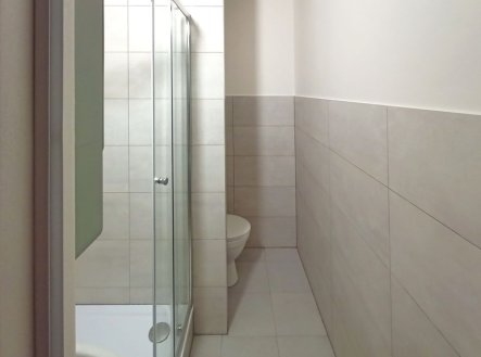 Pronájem bytu, 1+kk, 19 m²