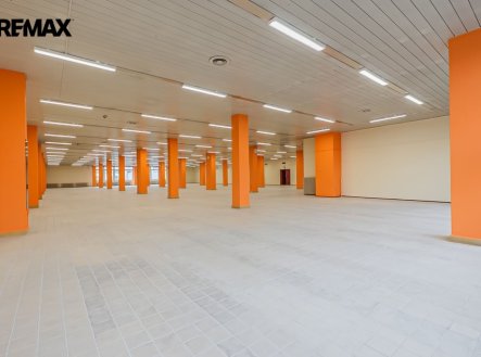 Pronájem obchodní prostory, 1 366 m²