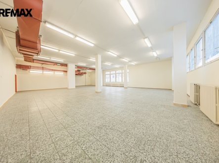 Pronájem obchodní prostory, 460 m²