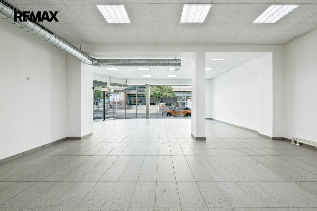 dsc-3-1.jpg
