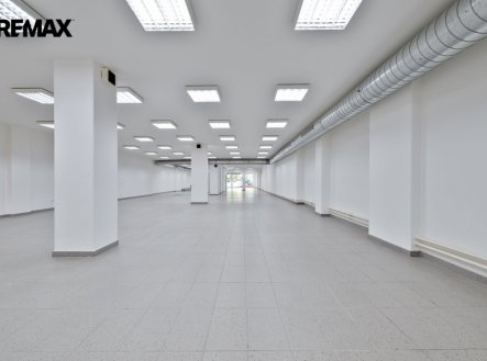 Pronájem obchodní prostory, 528 m²