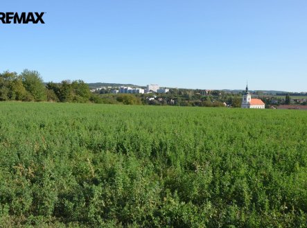 Prodej pozemku, zemědělská půda, 3 819 m²