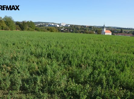 Prodej pozemku, zemědělská půda, 3 819 m²