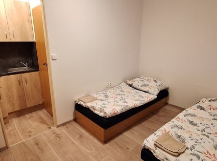 Pronájem bytu, 1+kk, 17 m²