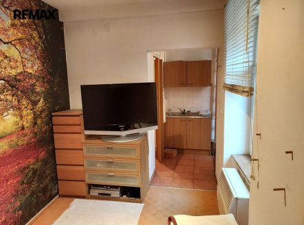 Prodej bytu, 1+1, 19 m²