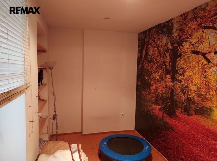 Prodej bytu, 1+1, 19 m²
