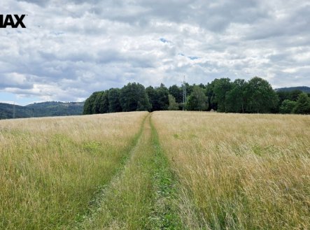 Prodej pozemku, les, 26 680 m²