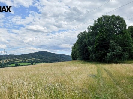 Prodej pozemku, les, 26 680 m²