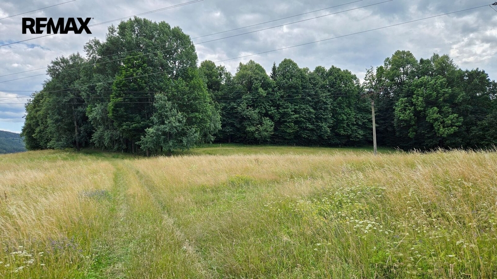 20260722-140523.jpg