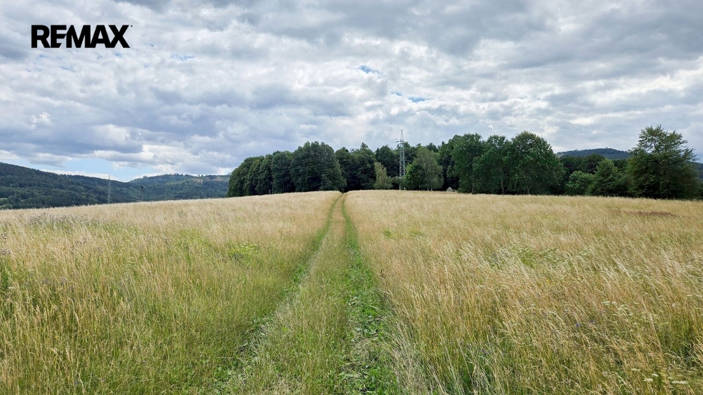 20260722-140305.jpg