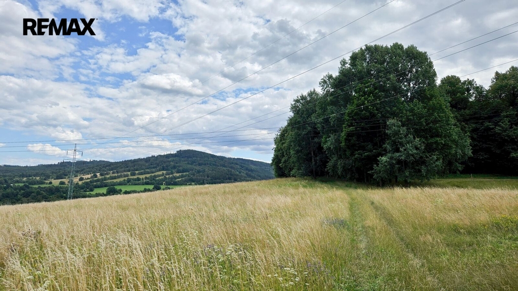 20260722-140527.jpg