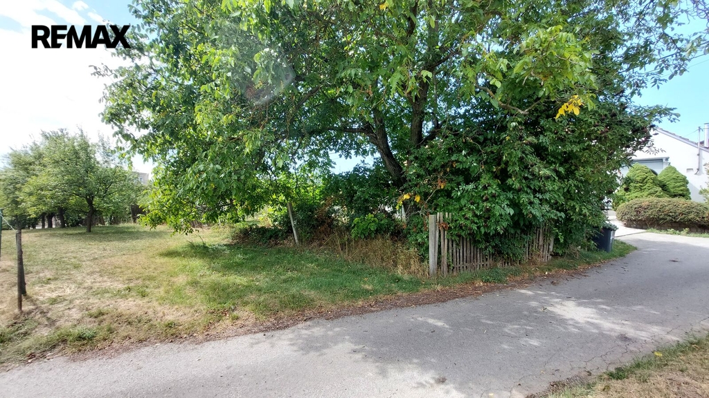 20260831-133350.jpg