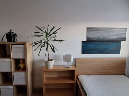 Pronájem domu/vily, 114 m²