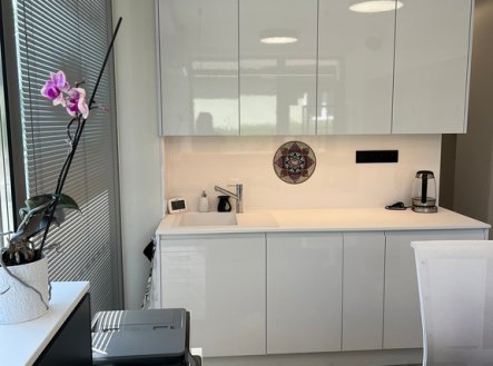 Pronájem obchodní prostory, 206 m²