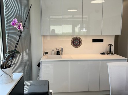 Pronájem obchodní prostory, 398 m²