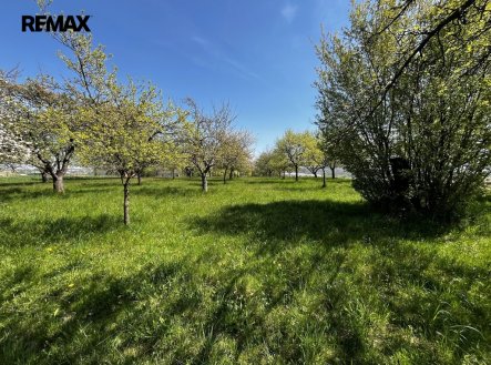 Prodej pozemku, ostatní, 7 559 m²