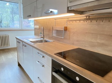 Pronájem 3+1 byt s balkonem, 72m2, sídliště Dolní Jasenka, po rekonstrukci