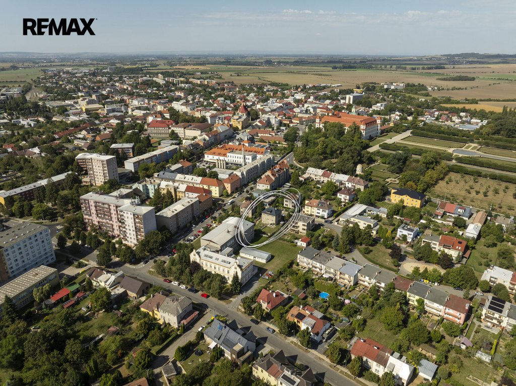 tyr-hol-100.jpg