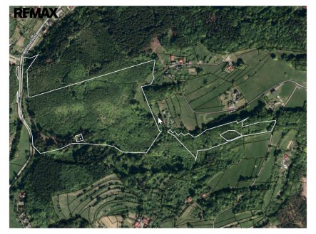 Prodej pozemku, les, 50 199 m²