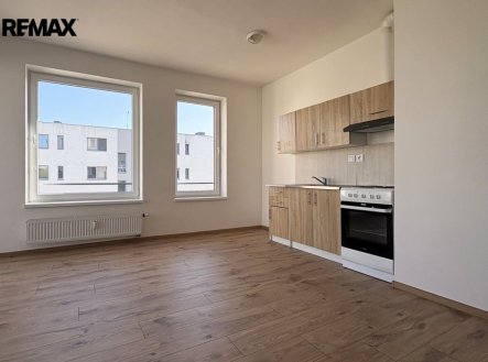Pronájem bytu, 1+kk, 41 m²