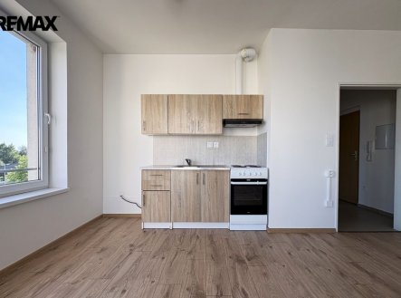 Pronájem bytu, 1+kk, 41 m²
