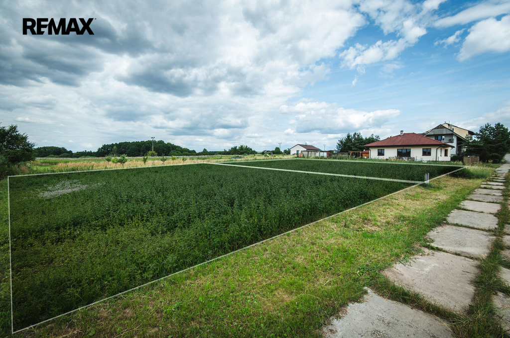 dsc-3141.jpg