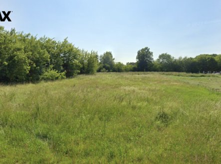 Prodej pozemku pro bydlení, 5 565 m²