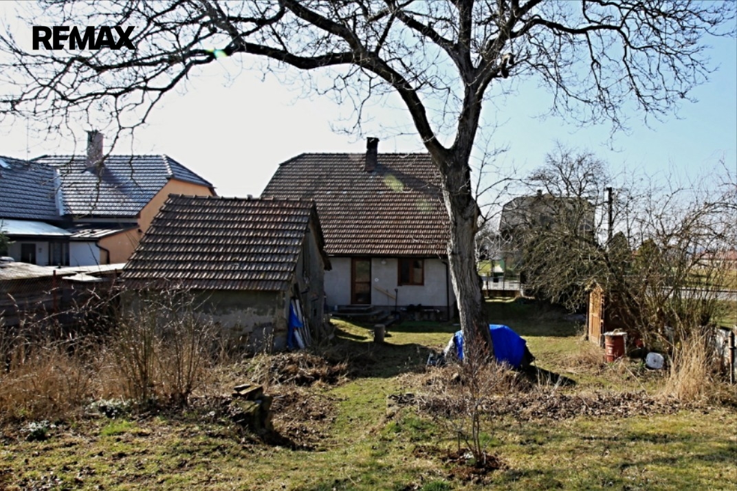 img-3051.jpg