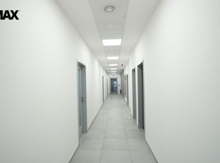 Pronájem kanceláře, 200 m²