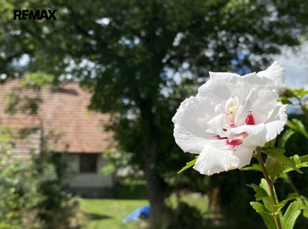 Prodej chaty/rekreačního objektu, 89 m²