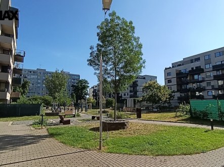 Pronájem bytu, 2+kk, 54 m²